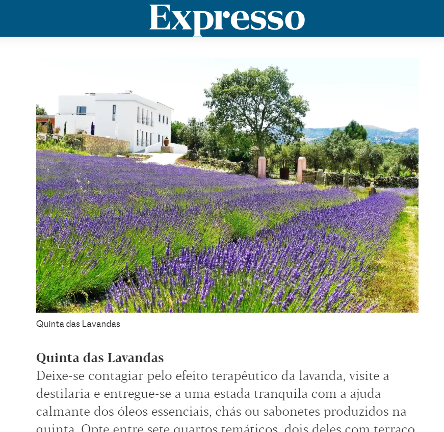 Boa Cama Boa Mesa - Expresso