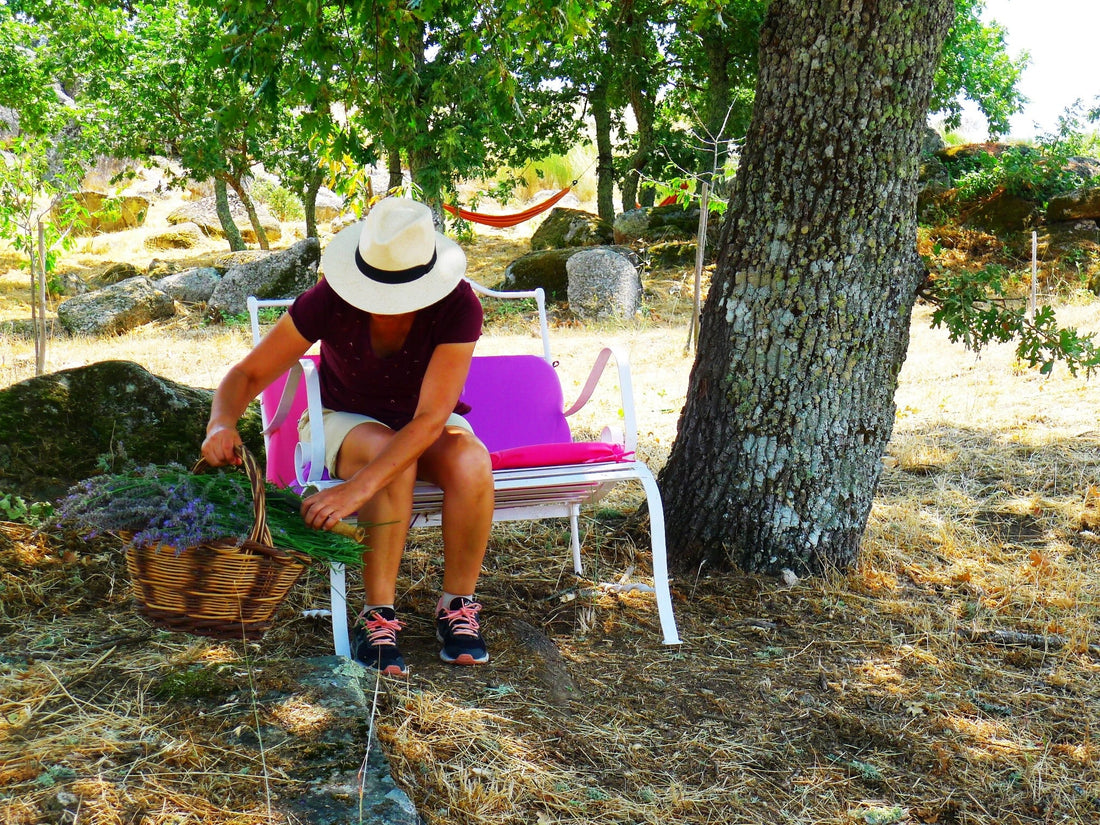 Ocupar o tempo e actividades de ar livre