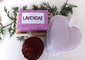 Conjunto V - Portes Gratis